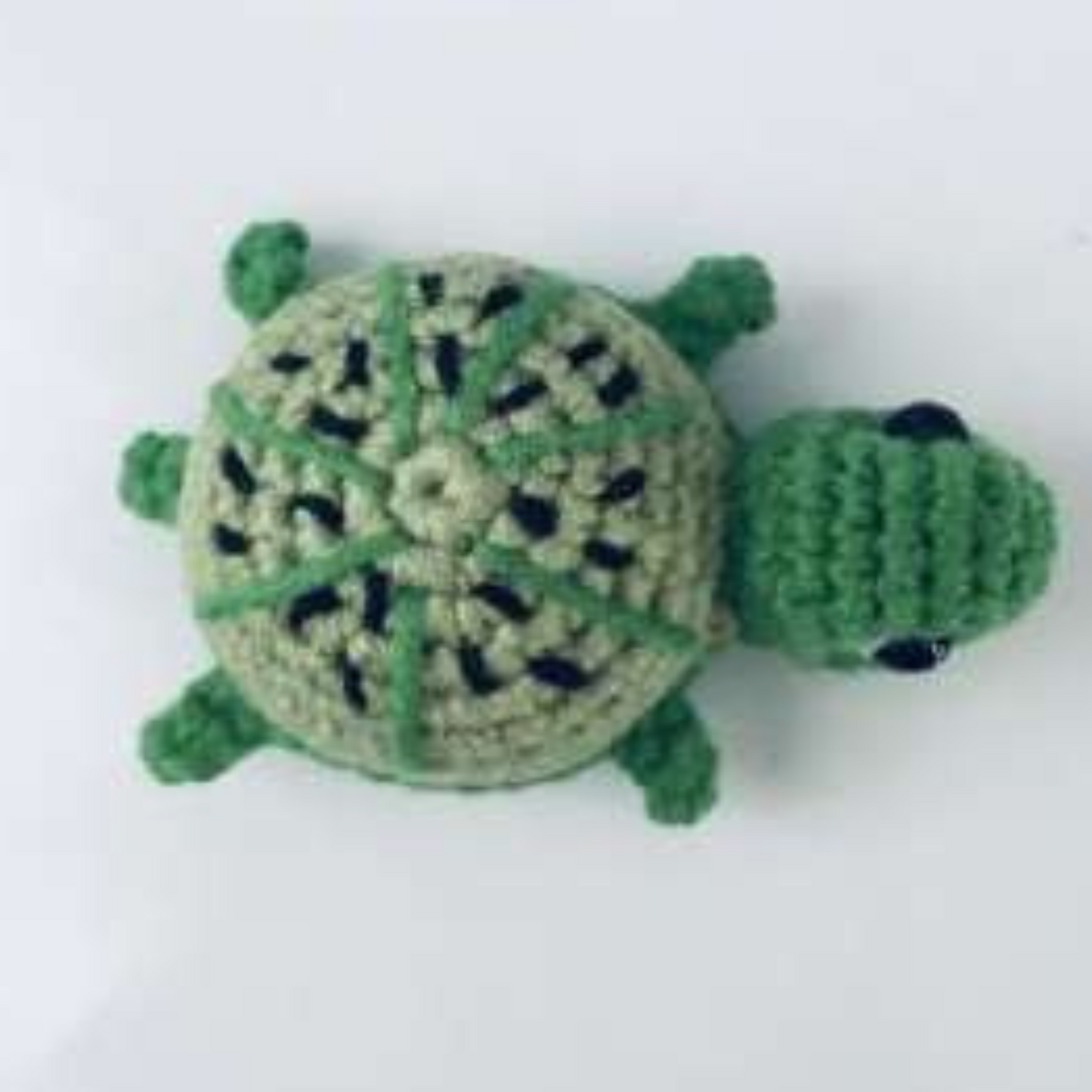 Mini Turtles