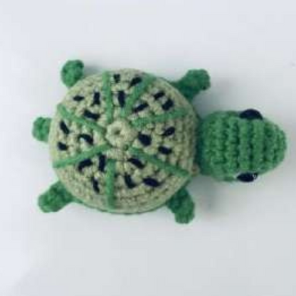 Mini Turtles