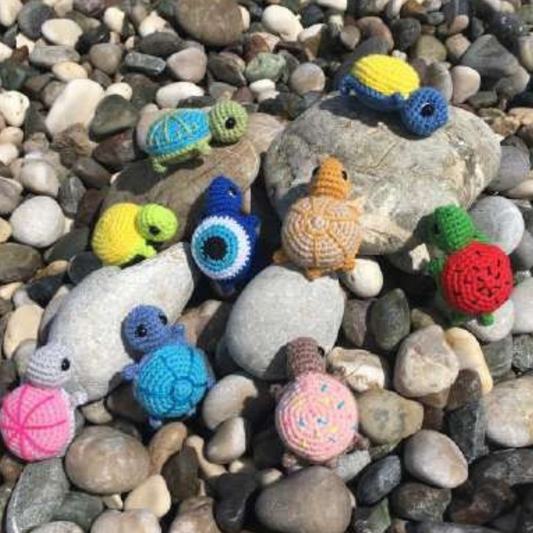 Mini Turtles