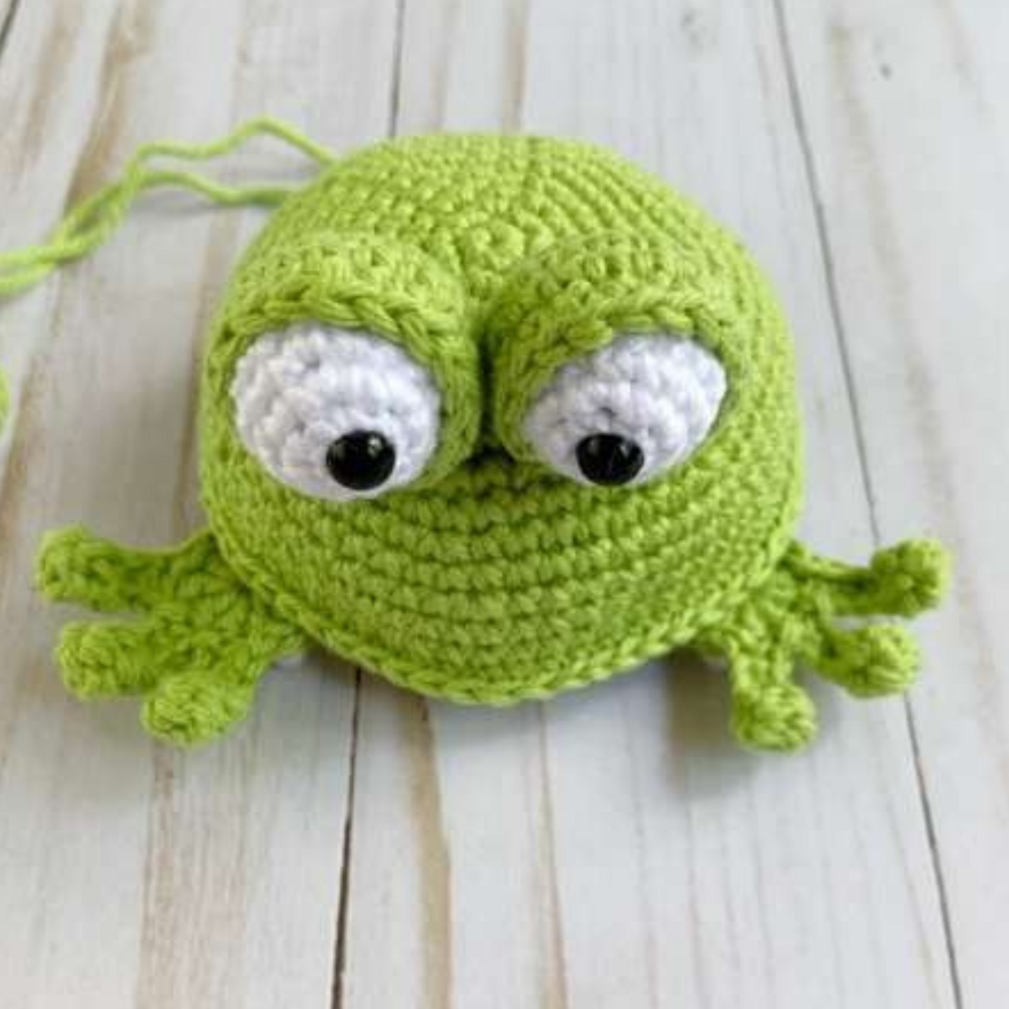 Little Frog